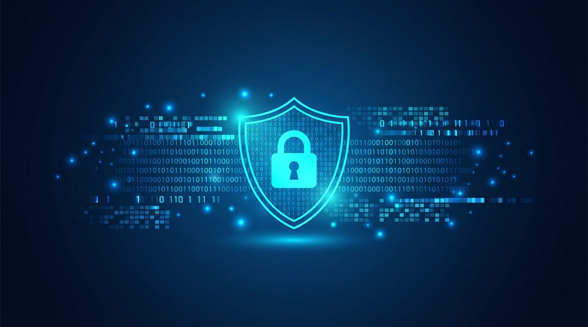 加速器峰鸟隐私安全保护